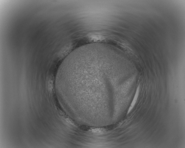 X0000066930417200604071851