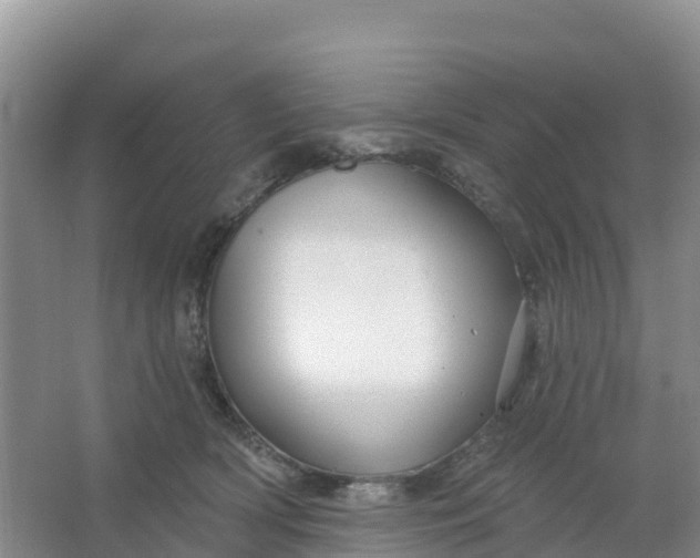 X0000066930418200604071851