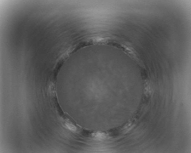 X0000066930419200604071851