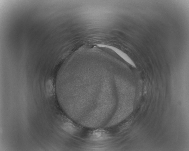 X0000066930420200604071851