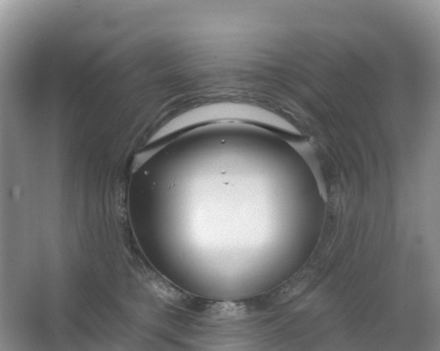 X0000066930421200604071851