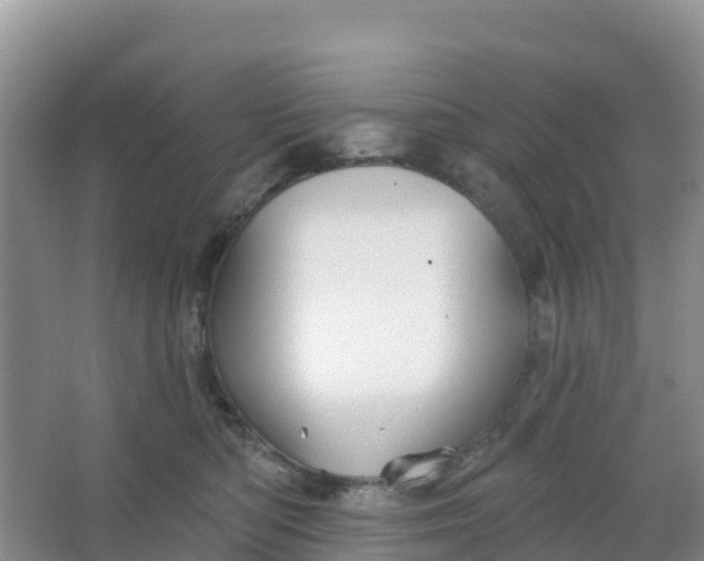 X0000066930422200604071851