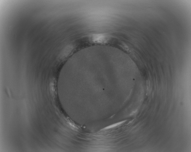 X0000066930424200604071851