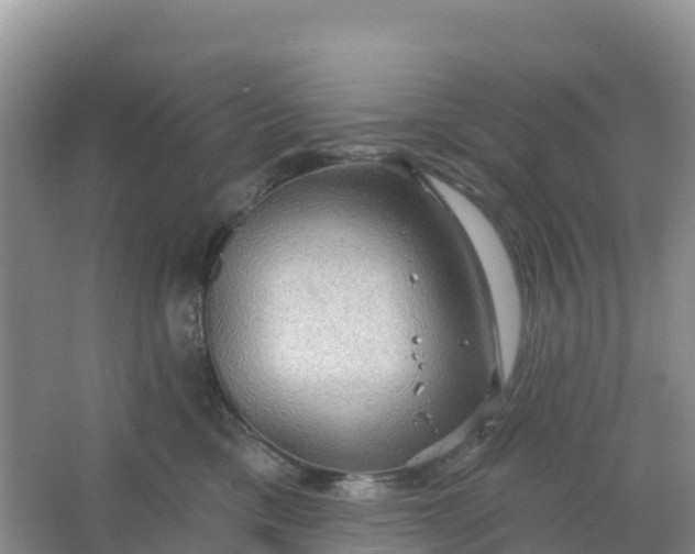 X0000066930425200604071851