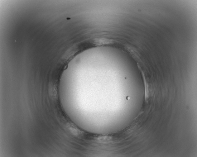 X0000066930426200604071851