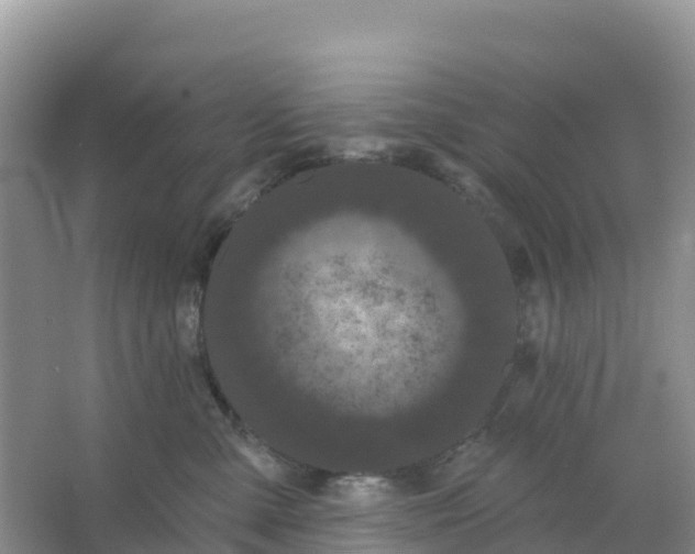 X0000066930427200604071851