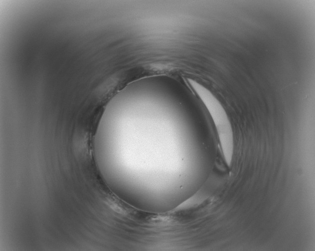 X0000066930428200604071851