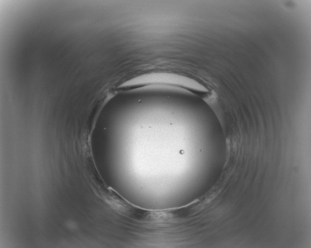 X0000066930429200604071851