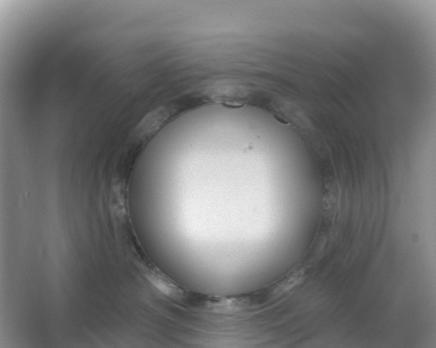 X0000066930430200604071851