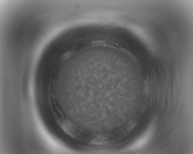 X0000066930431200604071851