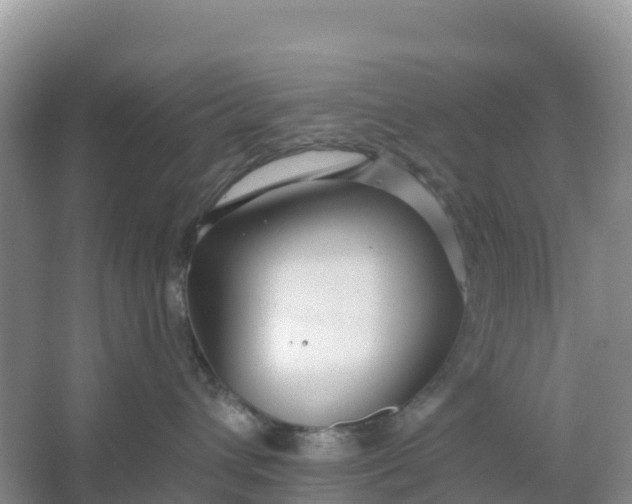 X0000066930432200604071851