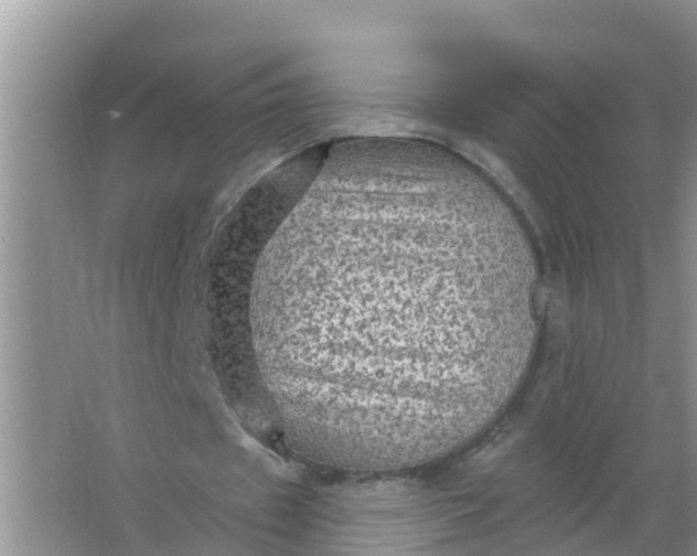 X0000066930433200604071850