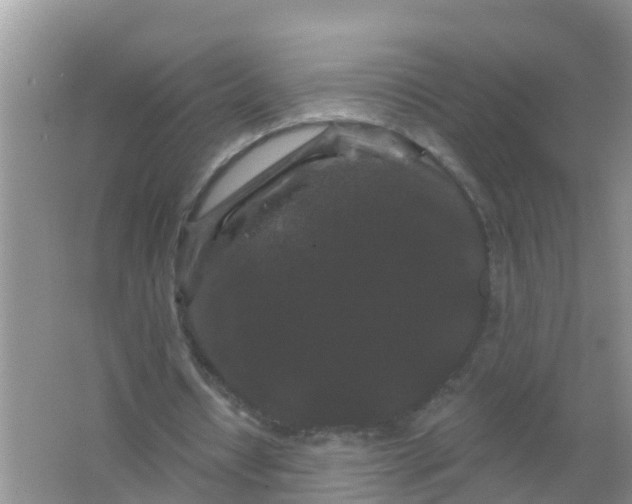 X0000066930434200604071850