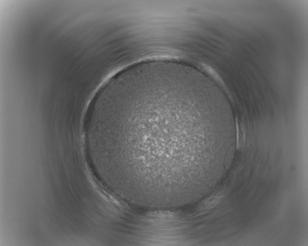 X0000066930435200604071850