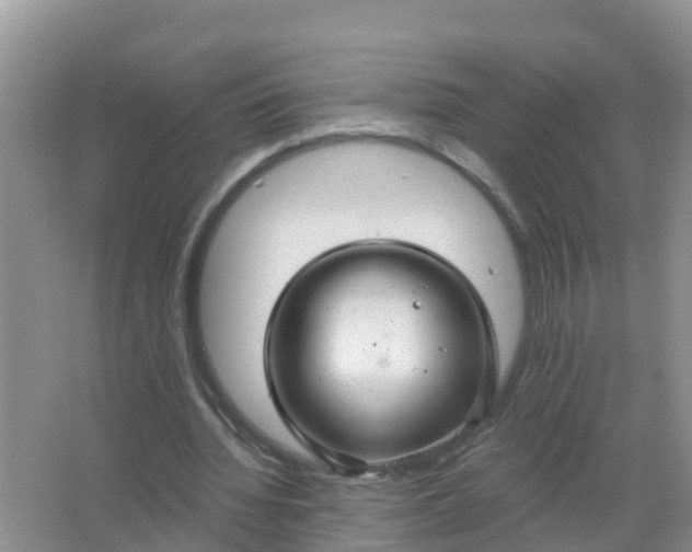 X0000066930436200604071850