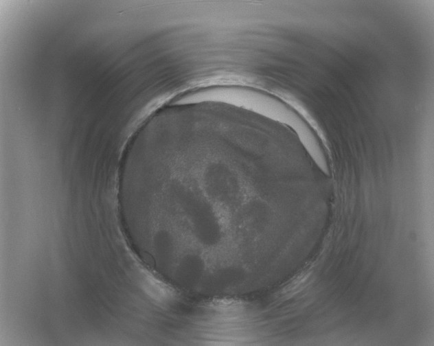 X0000066930437200604071850