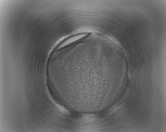 X0000066930438200604071850