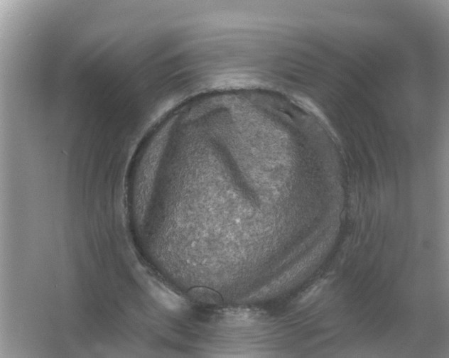 X0000066930439200604071850