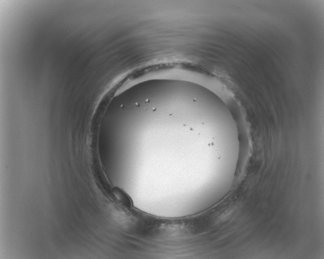 X0000066930440200604071850