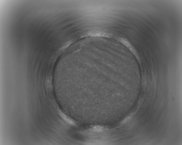 X0000066930441200604071850