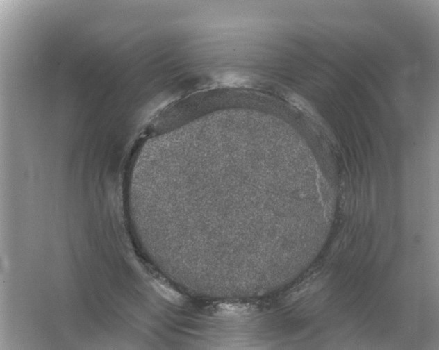 X0000066930442200604071850