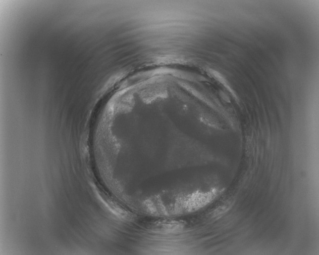 X0000066930443200604071850