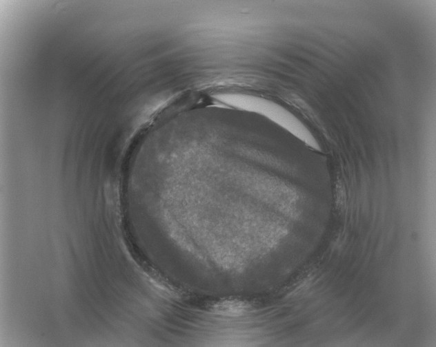 X0000066930444200604071850