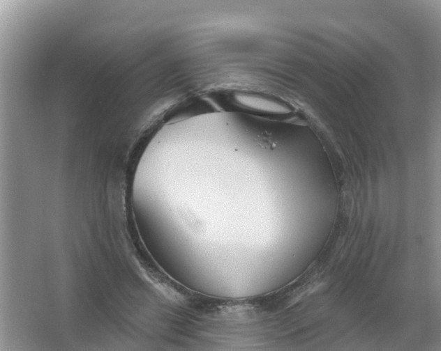 X0000066930446200604071850