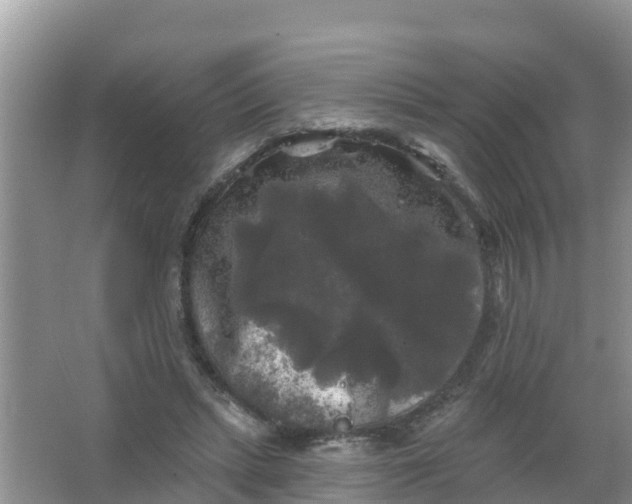 X0000066930447200604071850