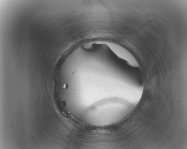 X0000066930448200604071850