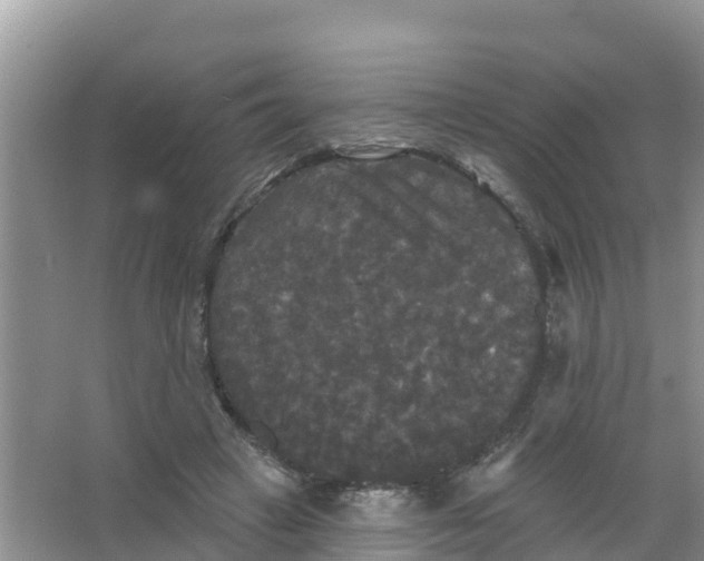 X0000066930449200604071850