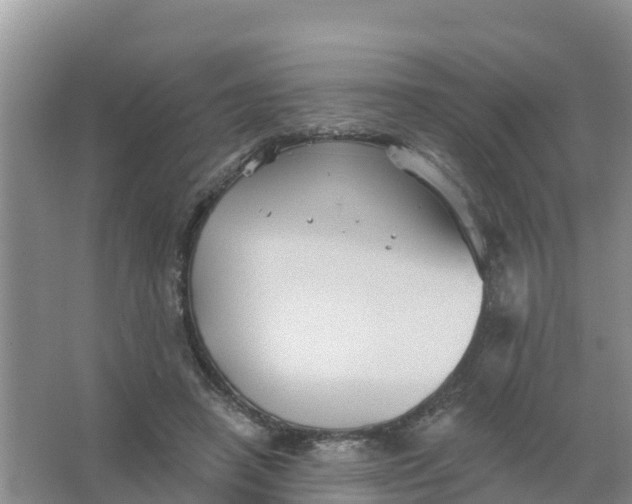 X0000066930450200604071850