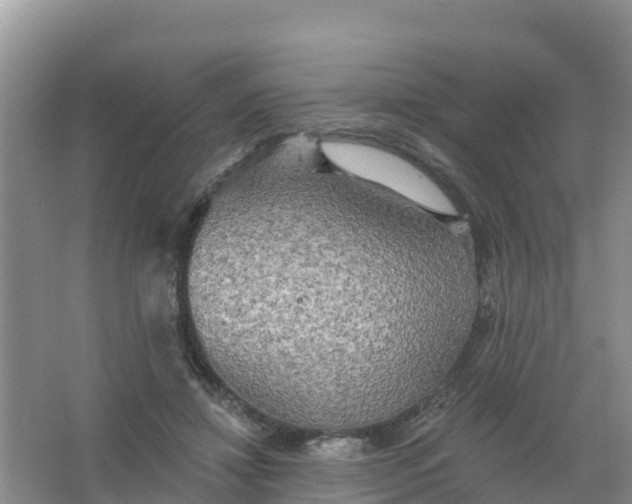 X0000066930452200604071850