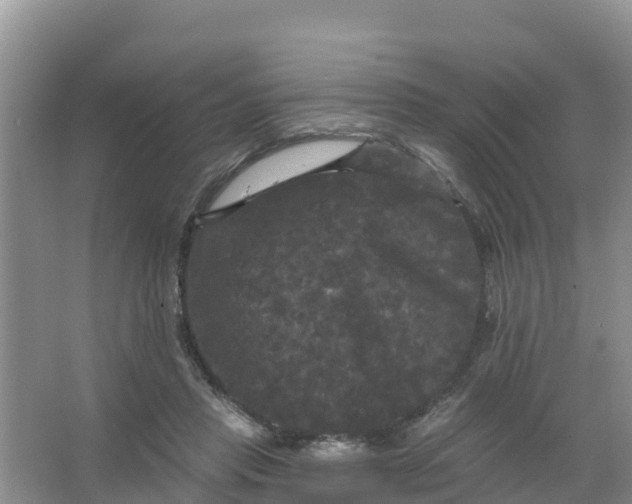 X0000066930453200604071850