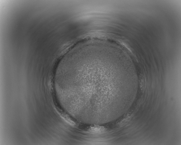 X0000066930455200604071851