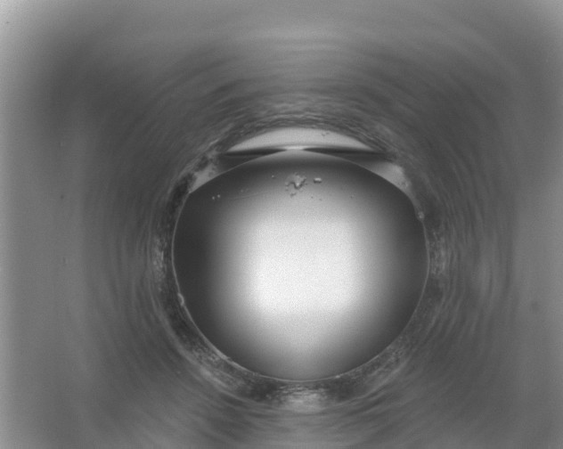 X0000066930456200604071851