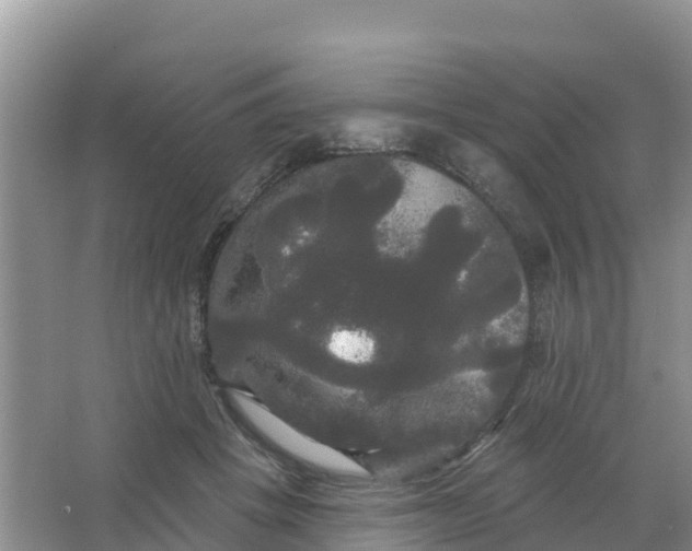 X0000066930457200604071851