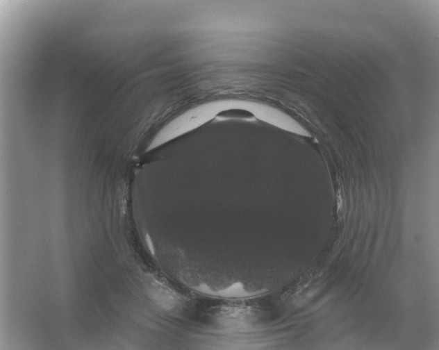 X0000066930458200604071851