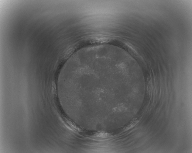 X0000066930459200604071851