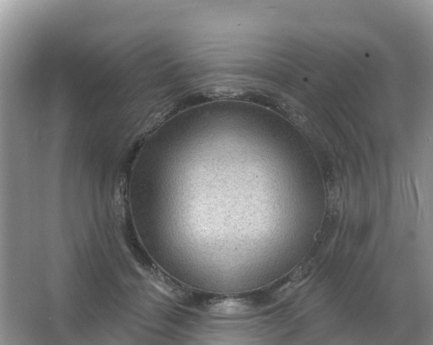 X0000066930460200604071851