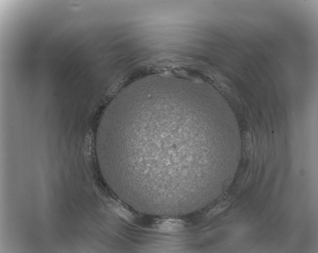 X0000066930463200604071851