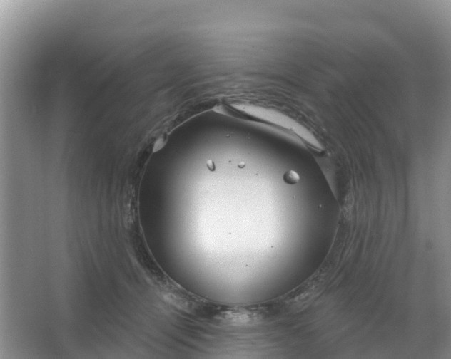 X0000066930464200604071851