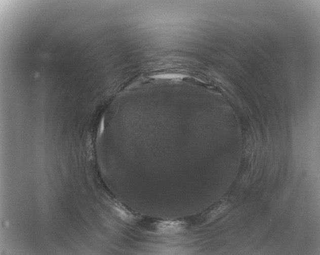 X0000066930465200604071851