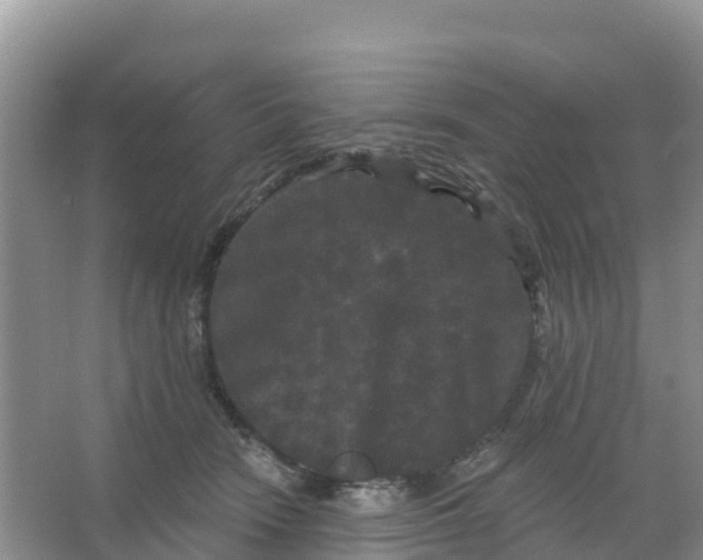 X0000066930466200604071851