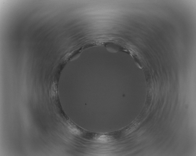 X0000066930467200604071851