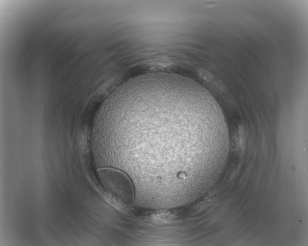 X0000066930468200604071851