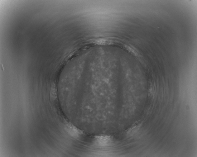 X0000066930469200604071851