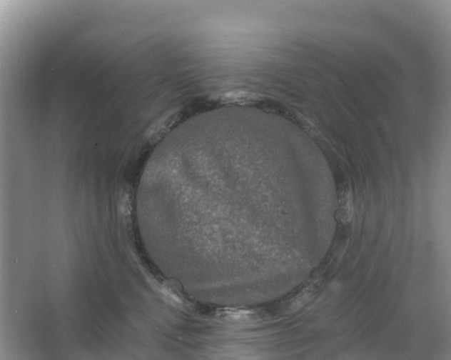 X0000066930472200604071851