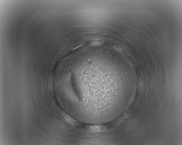 X0000066930473200604071851