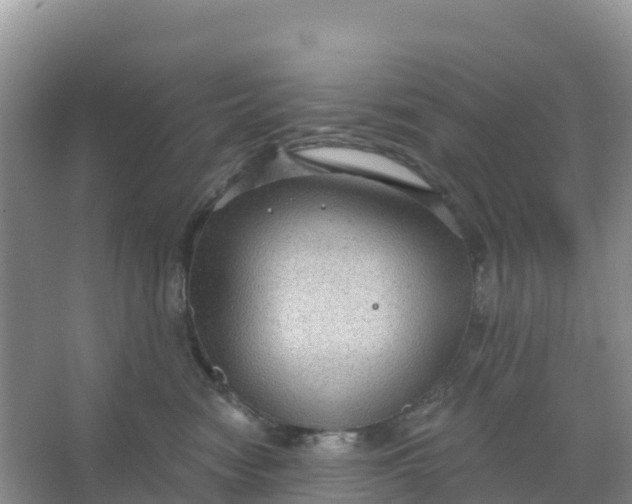 X0000066930474200604071851